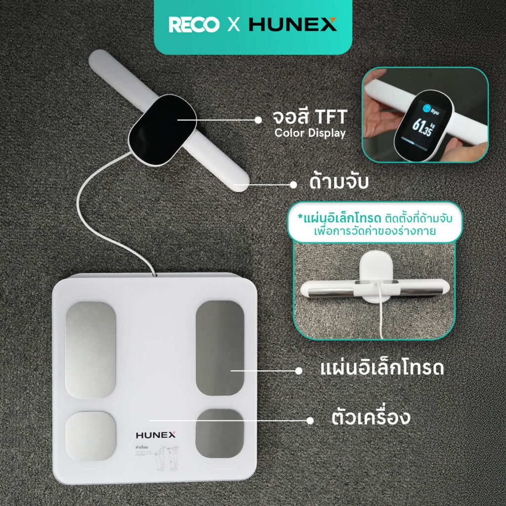 รายละเอียดเครื่องชั่งน้ำหนักอัจฉริยะ ตัวเครื่อง ด้ามจับ จอสี TFT